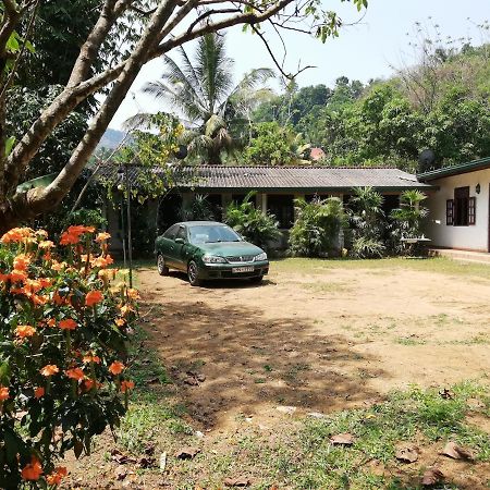 גמפולה Leaf Guest House מראה חיצוני תמונה