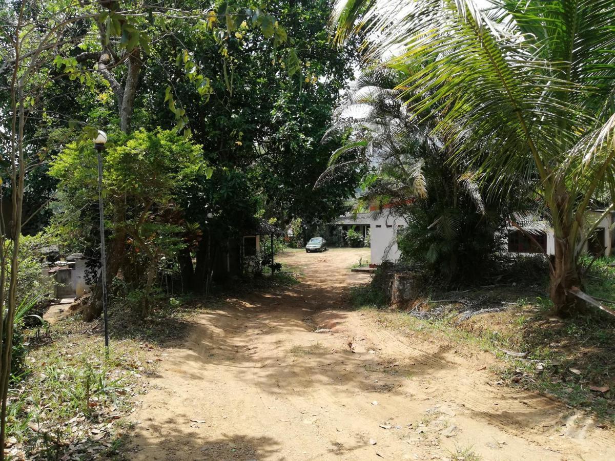 גמפולה Leaf Guest House מראה חיצוני תמונה