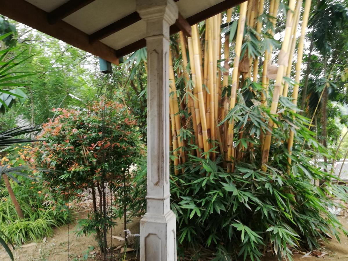 גמפולה Leaf Guest House מראה חיצוני תמונה
