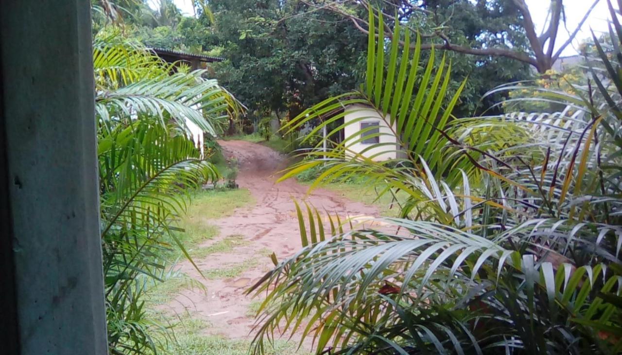 גמפולה Leaf Guest House מראה חיצוני תמונה