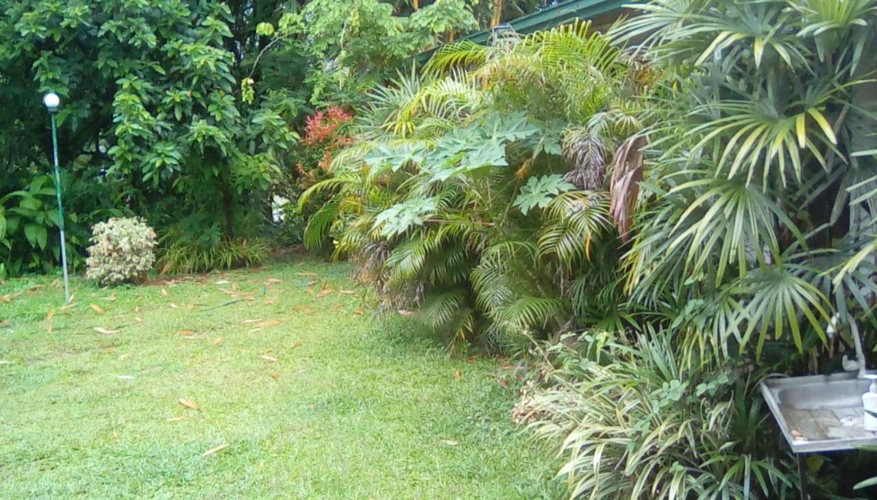 גמפולה Leaf Guest House מראה חיצוני תמונה